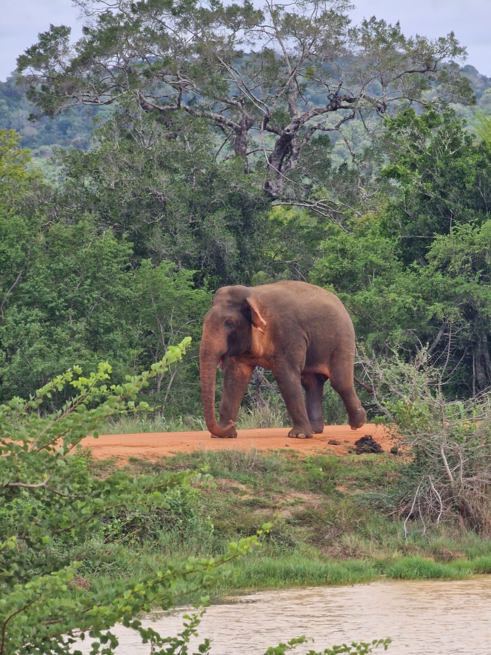 whatsapp image 2026 01 17 at 12.43.35 (1)